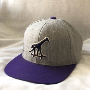 LRG SnapBack Hat